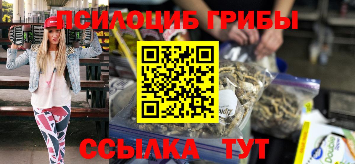 Псилоцибиновые грибы мицелий Аша